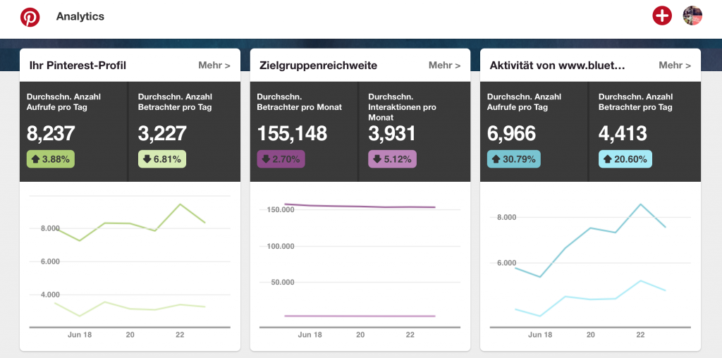 Screenshot Pinterest | Pinterest Analytics, Daten analysieren & auswerten